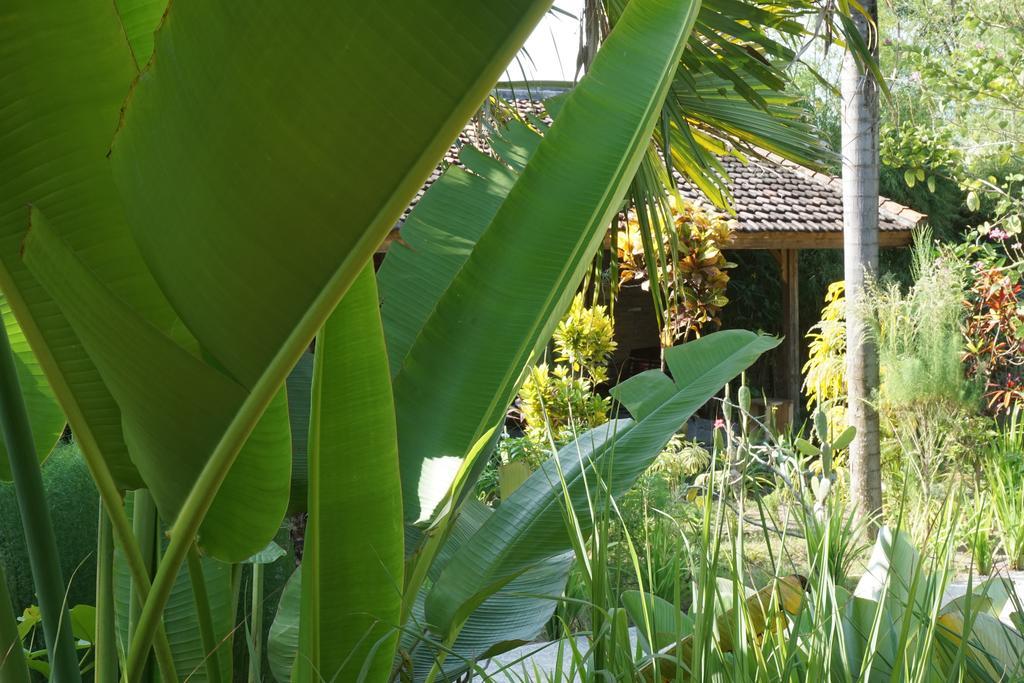 Ibludan Hotel Senggigi Exterior photo
