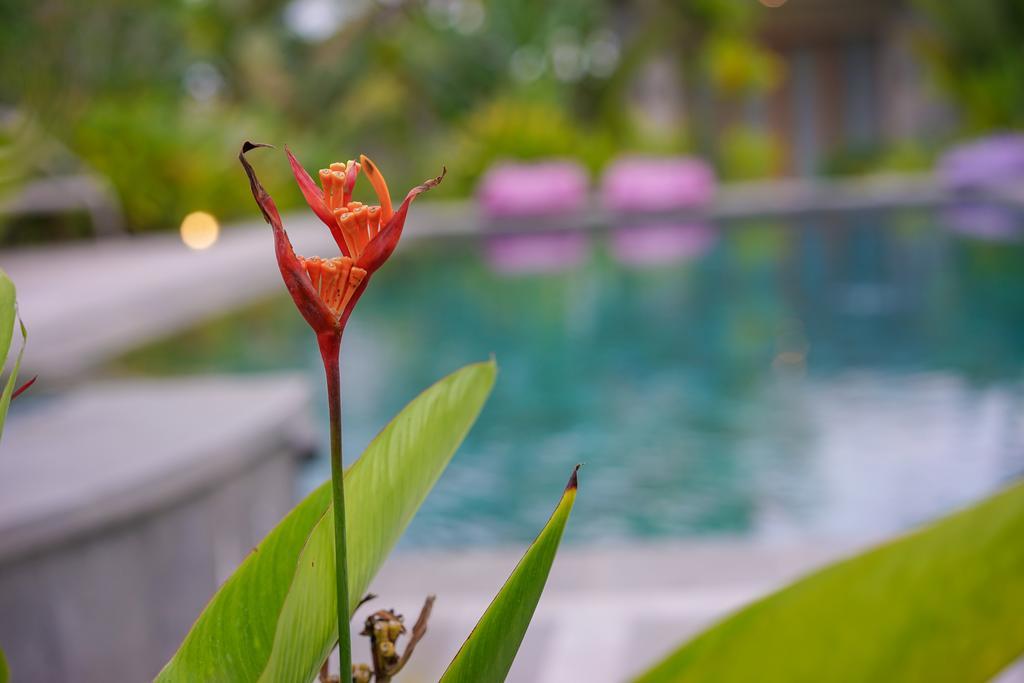 Ibludan Hotel Senggigi Exterior photo