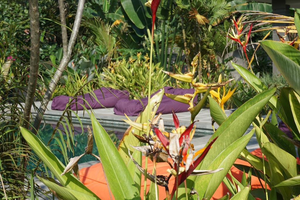 Ibludan Hotel Senggigi Exterior photo
